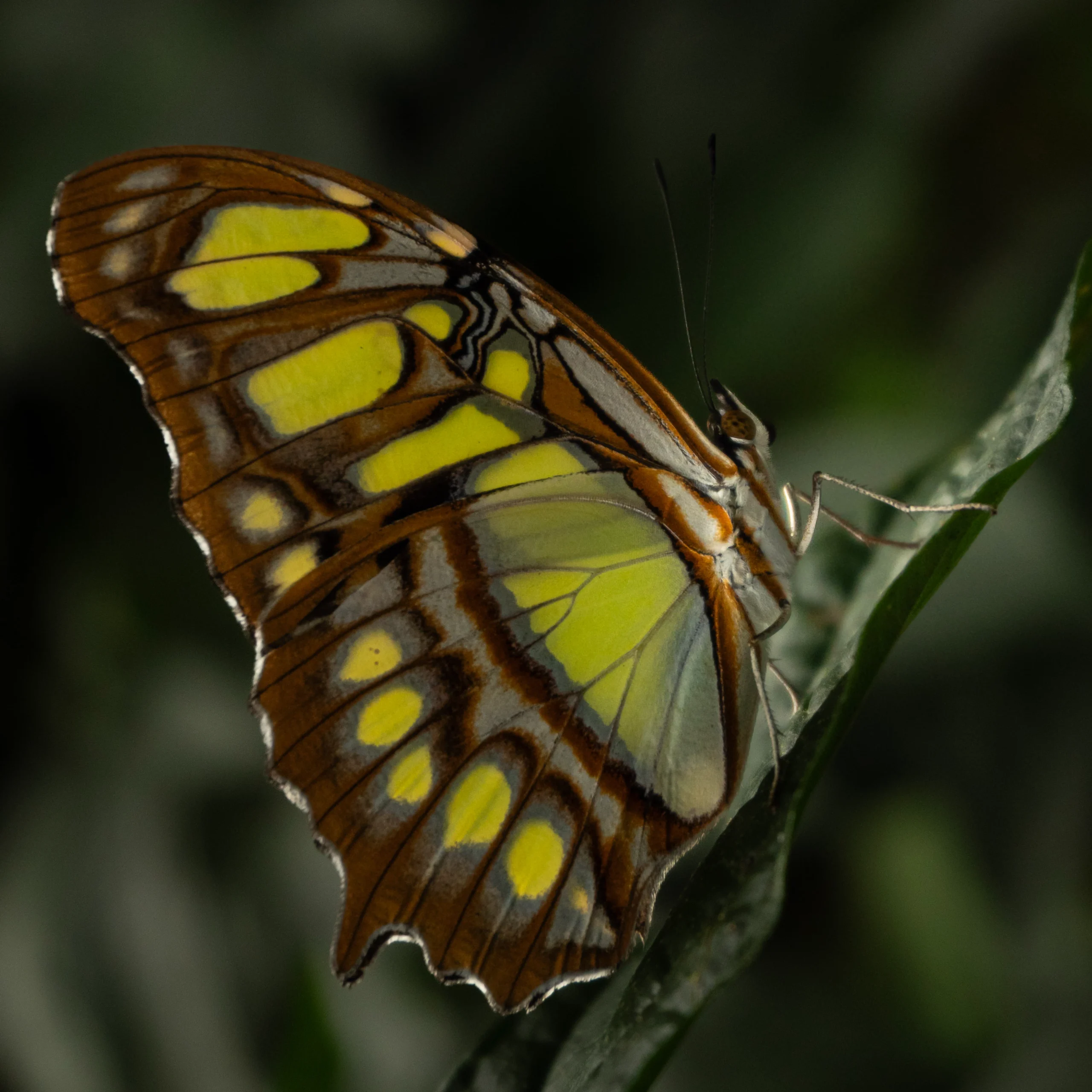 3-DSC02459